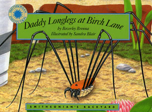 Daddy Long Legs