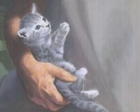 internal art
