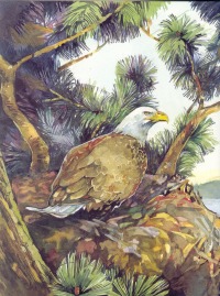 internal art