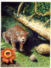 internal art