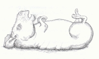 internal art