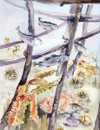internal art