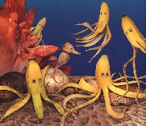 seahorse image