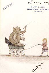 elephant